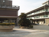 笠岡市立中央小学校外観