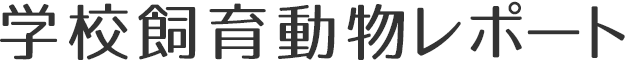 学校飼育動物レポート