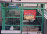 飼育動物イメージ