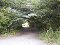 千葉県立中央博物館付近の野外彫刻