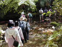 沖縄研修旅行の様子