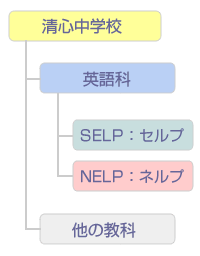 清心の英語プラグラムについて