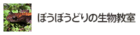 ぼうぼうどりの生物教室