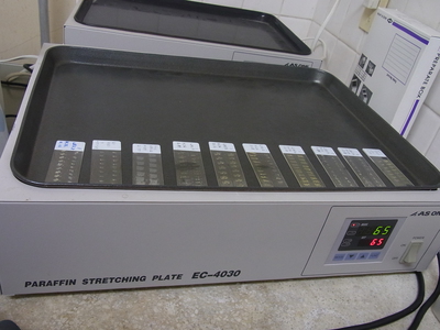 RIMG0037.JPG
