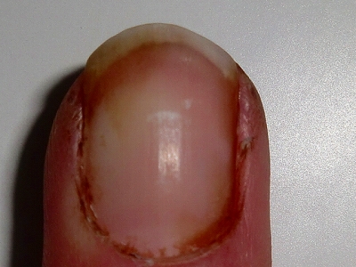 2013-CIMG2271.jpg