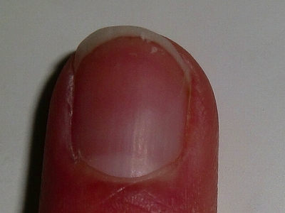 2013-CIMG2272.jpg