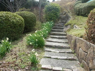 RIMG0051.JPG