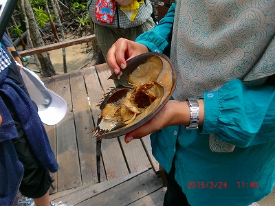 2013-CIMG2510.jpg
