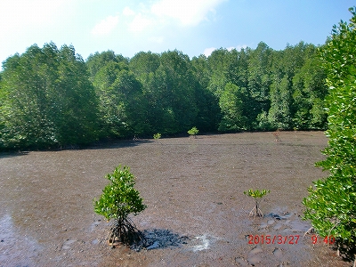 2013-CIMG2718.jpg
