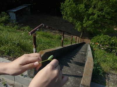 RIMG0229.JPG