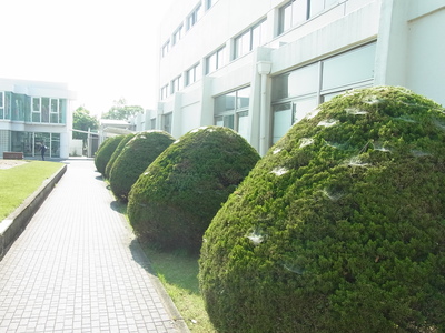 RIMG0208.JPG