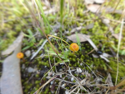 DSC02446.JPG