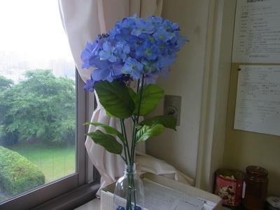 RIMG0282.JPG