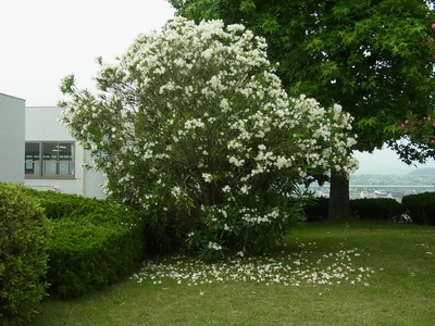 RIMG0366.JPG